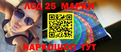 индика Ставрополь