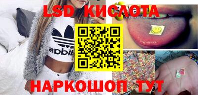 индика Ставрополь
