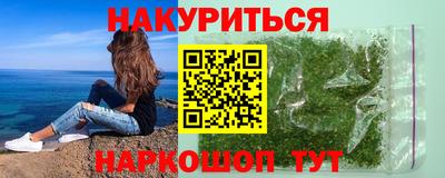 индика Ставрополь