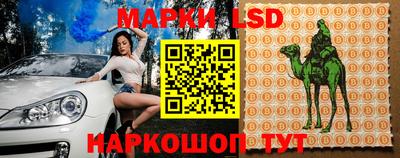 индика Ставрополь