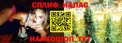 индика Ставрополь
